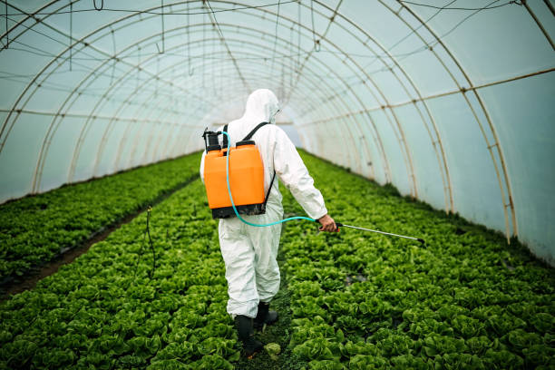 Best Pest Control Near Me  in Hendersonville, TN