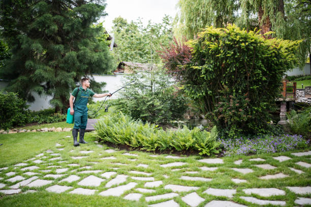 Best Residential Pest Control  in Hendersonville, TN