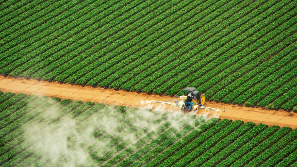Reliable Hendersonville, TN Pest Control Solutions