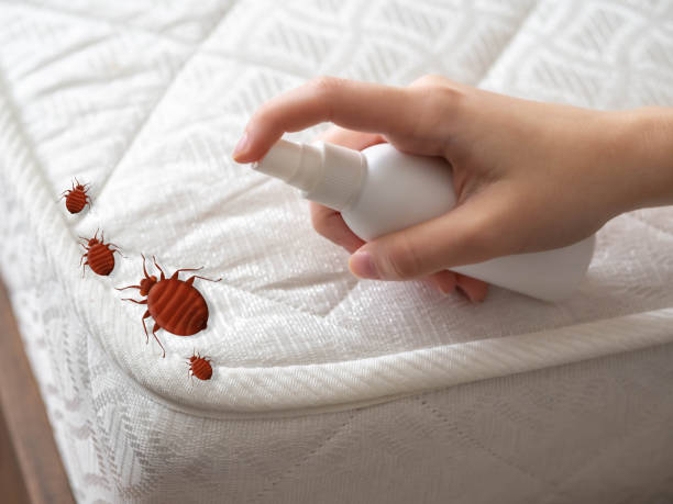 Pest Prevention Services in Hendersonville, TN