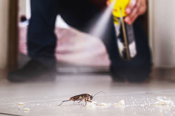 Pest Control for Restaurants in Hendersonville, TN